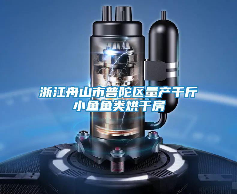 浙江舟山市普陀區(qū)量產(chǎn)千斤小魚(yú)魚(yú)類烘干房