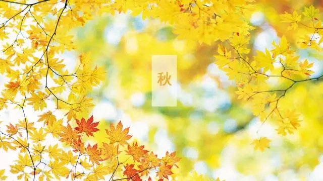 14742481303421882F63.png 11.png