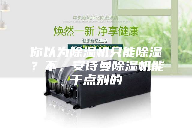 你以為除濕機(jī)只能除濕？不，安詩曼除濕機(jī)能干點(diǎn)別的