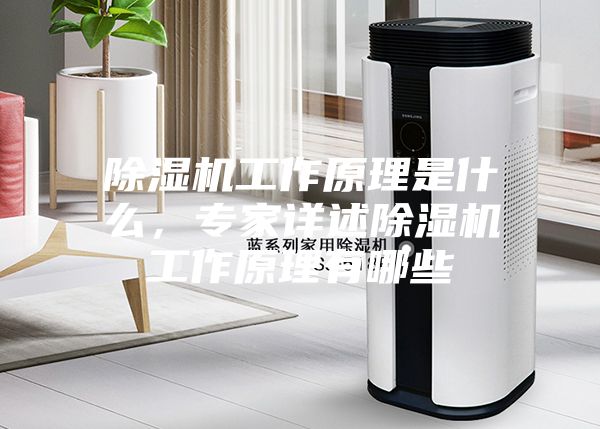 除濕機(jī)工作原理是什么，專家詳述除濕機(jī)工作原理有哪些