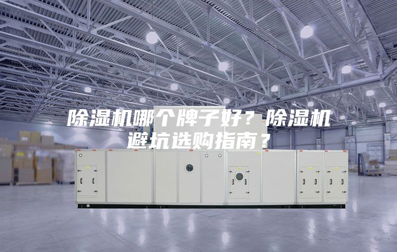除濕機哪個牌子好？除濕機避坑選購指南？