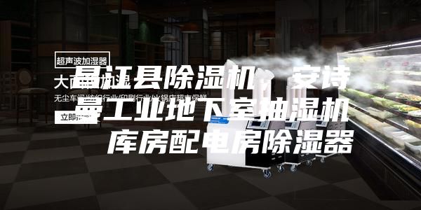 昌江縣除濕機(jī)，安詩(shī)曼工業(yè)地下室抽濕機(jī)  庫(kù)房配電房除濕器