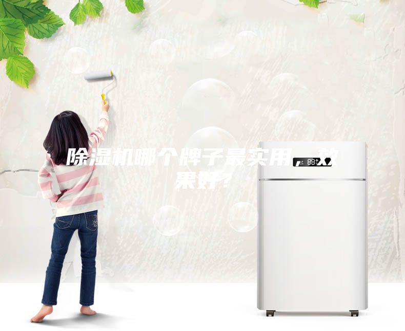 除濕機哪個牌子最實用，效果好？