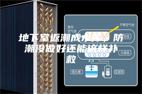 地下室返潮成水庫，防潮沒做好還能這樣補救