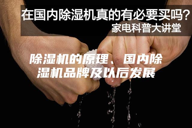 除濕機的原理、國內除濕機品牌及以后發展