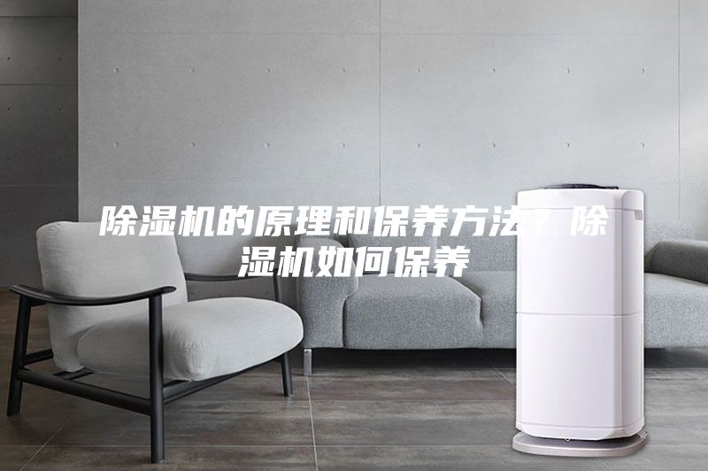 除濕機的原理和保養方法？除濕機如何保養
