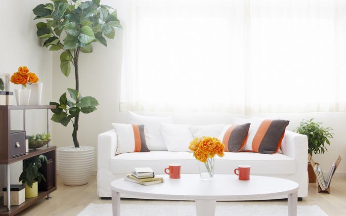 梅雨季節(jié),豬場需要這樣預防霉