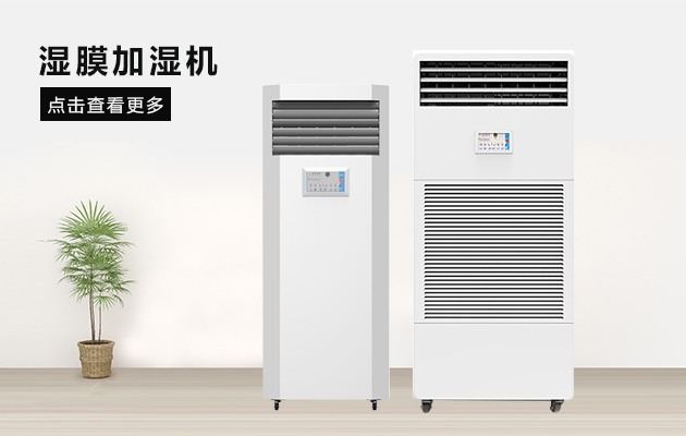 縱使挺過冰天雪地，但真未必熬得過回南天……