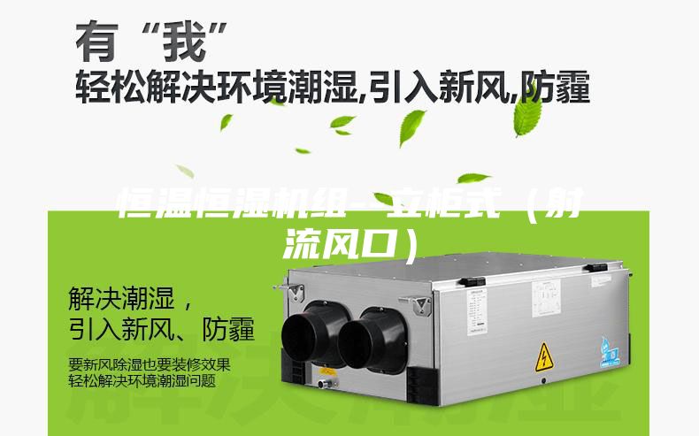 恒溫恒濕機組--立柜式(射流風口)