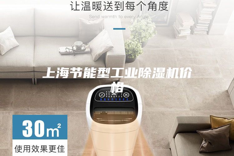 上海節(jié)能型工業(yè)除濕機價格