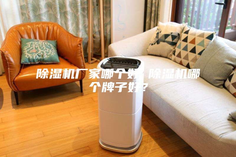 除濕機(jī)廠家哪個(gè)好 除濕機(jī)哪個(gè)牌子好？