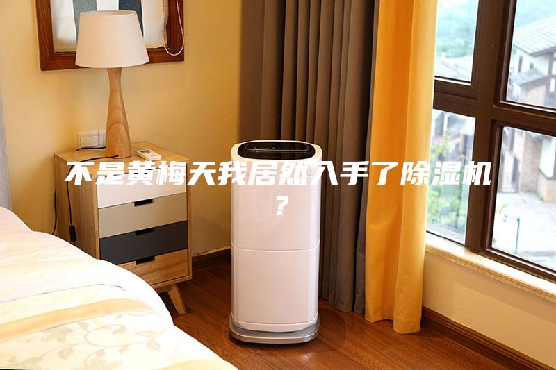 不是黃梅天我居然入手了除濕機(jī)？