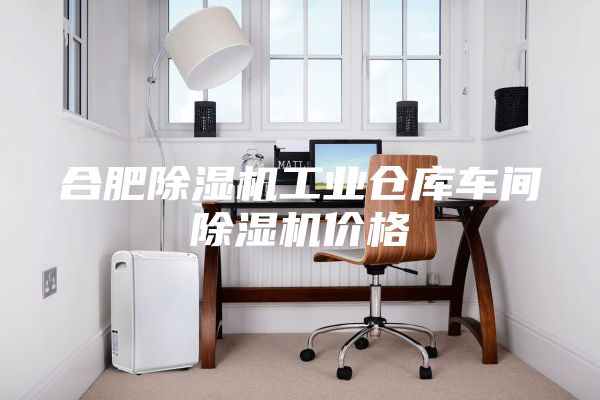 合肥除濕機(jī)工業(yè)倉(cāng)庫(kù)車(chē)間除濕機(jī)價(jià)格