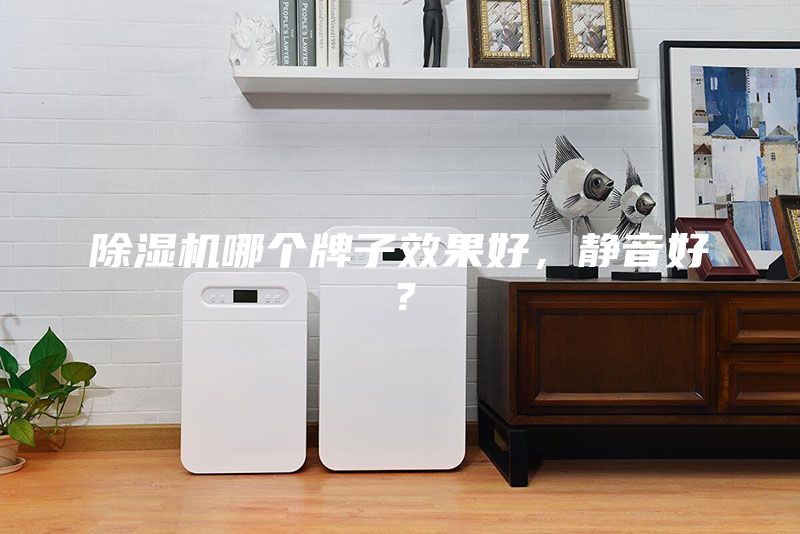 除濕機(jī)哪個牌子效果好，靜音好？