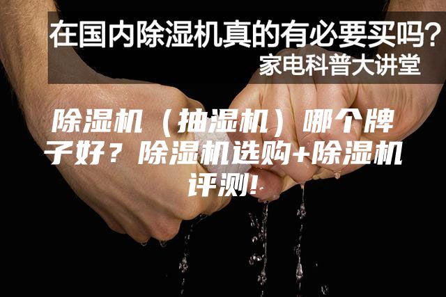 除濕機(jī)（抽濕機(jī)）哪個(gè)牌子好？除濕機(jī)選購+除濕機(jī)評測!