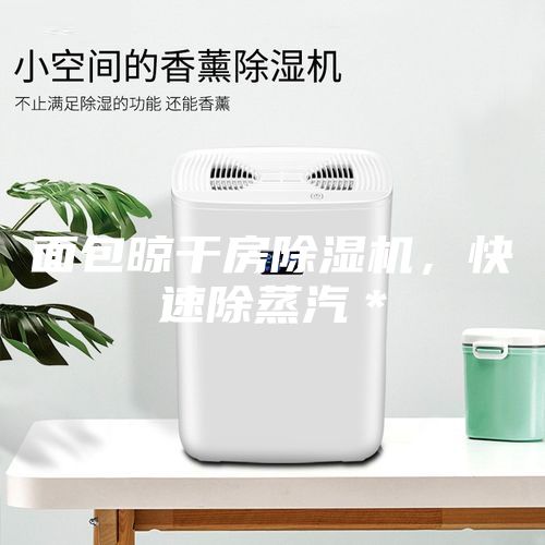 面包晾干房除濕機(jī)，快速除蒸汽＊