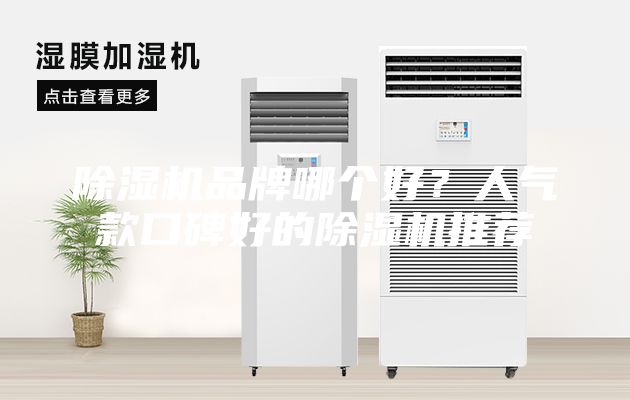 除濕機(jī)品牌哪個好？人氣款口碑好的除濕機(jī)推薦