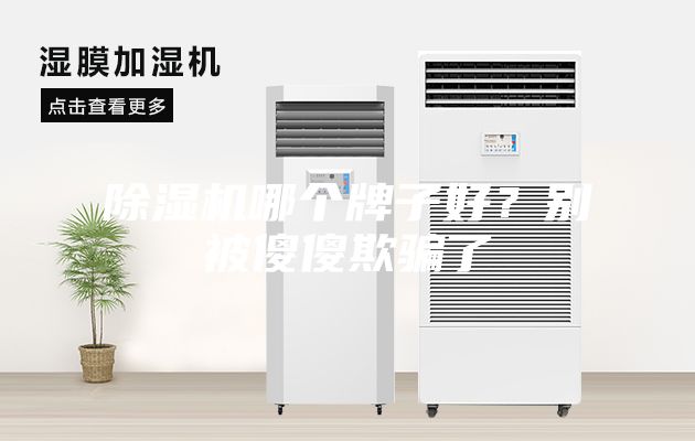 除濕機(jī)哪個牌子好？別被傻傻欺騙了