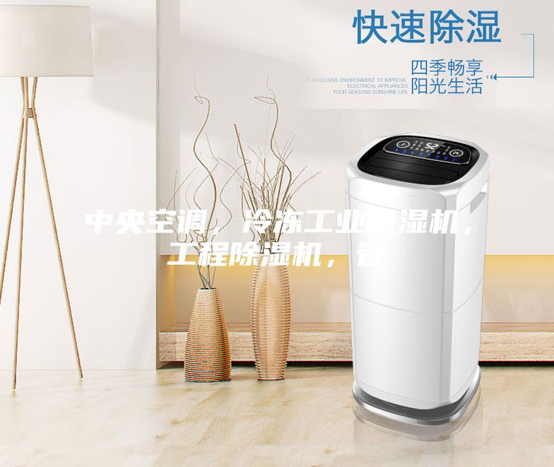 中央空調，冷凍工業除濕機，工程除濕機，管