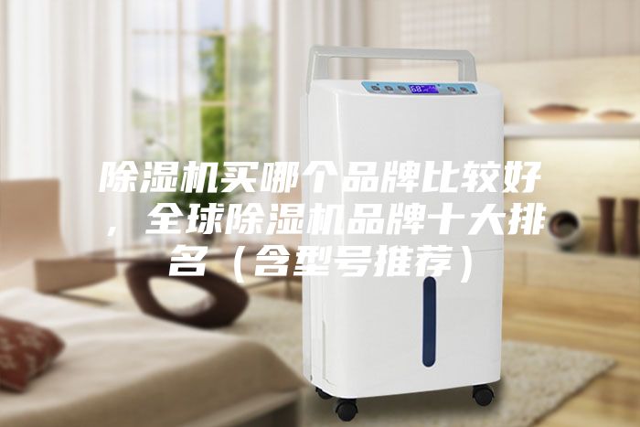 除濕機買哪個品牌比較好，全球除濕機品牌十大排名（含型號推薦）