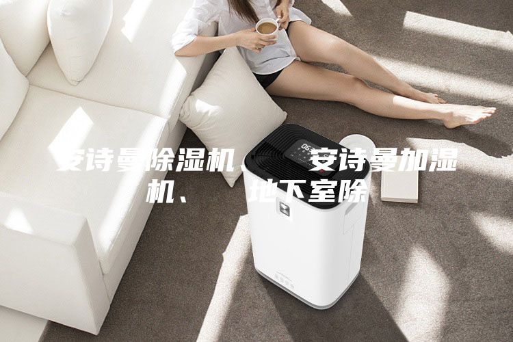 安詩曼除濕機、 安詩曼加濕機、 地下室除
