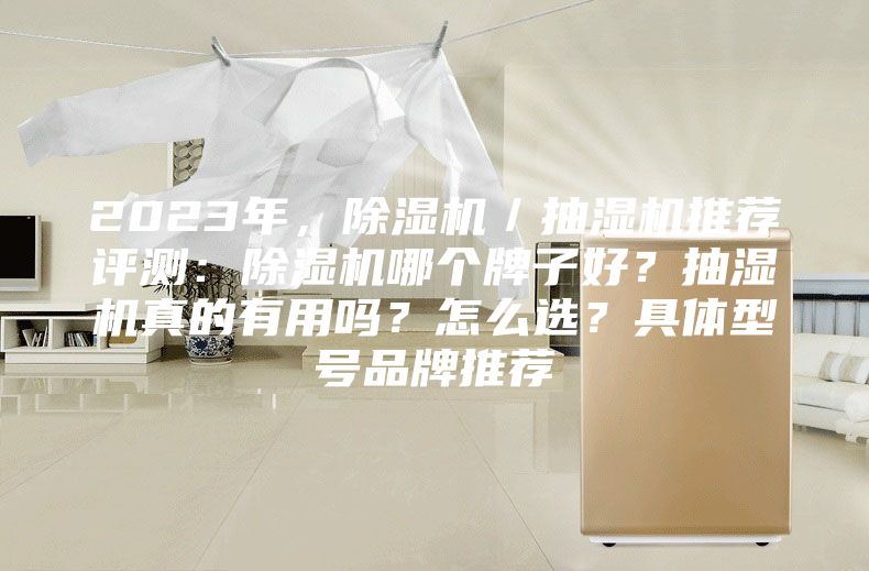 2023年，除濕機(jī)／抽濕機(jī)推薦評(píng)測：除濕機(jī)哪個(gè)牌子好？抽濕機(jī)真的有用嗎？怎么選？具體型號(hào)品牌推薦
