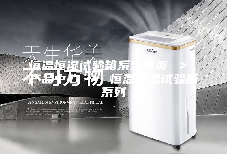 恒溫恒濕試驗箱系列首頁 ＞ 產(chǎn)品中心 ＞ 恒溫恒濕試驗箱系列