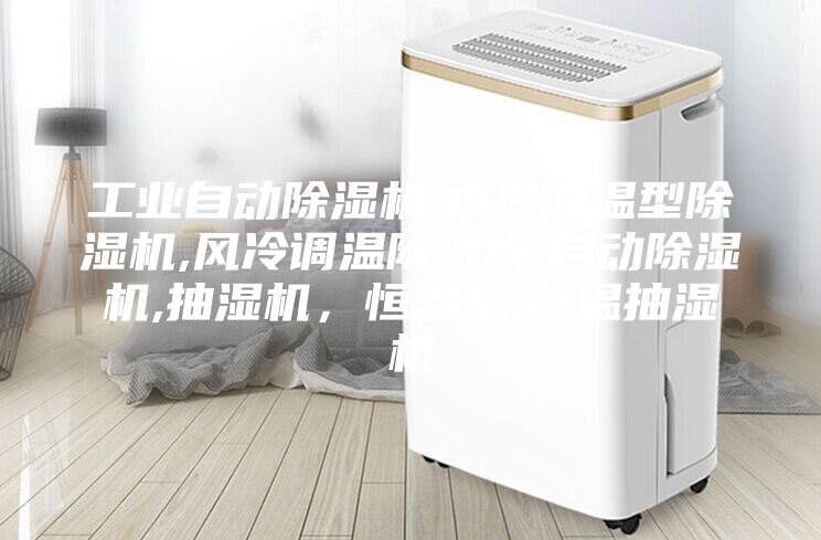 工業(yè)自動除濕機,水冷調(diào)溫型除濕機,風冷調(diào)溫除濕機,自動除濕機,抽濕機，恒濕機,降溫抽濕機