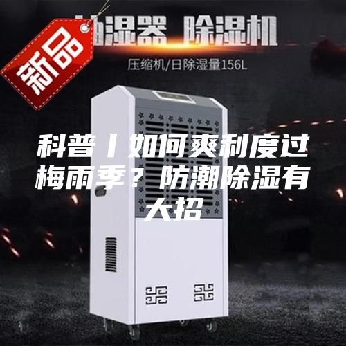 科普丨如何爽利度過梅雨季？防潮除濕有大招