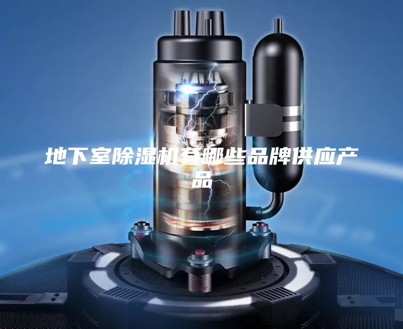 地下室除濕機有哪些品牌供應(yīng)產(chǎn)品