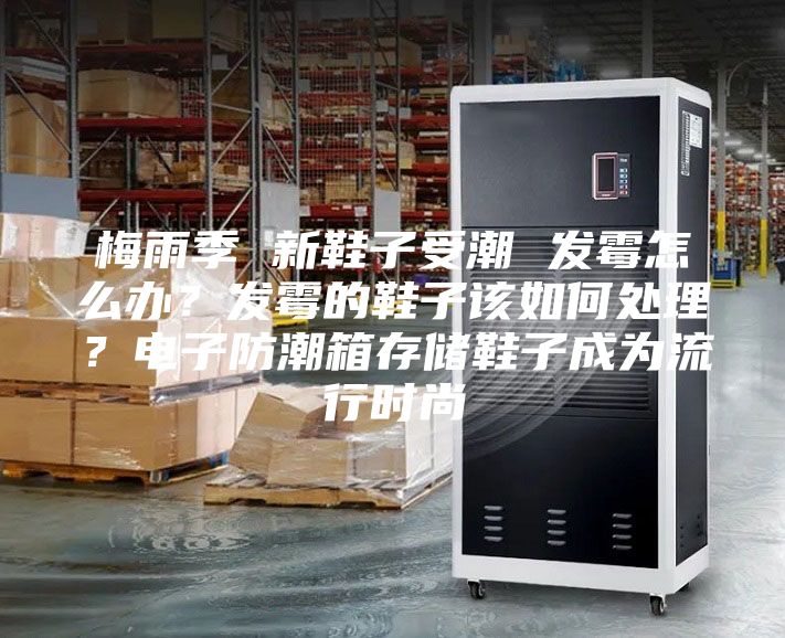 梅雨季 新鞋子受潮 發(fā)霉怎么辦？發(fā)霉的鞋子該如何處理？電子防潮箱存儲(chǔ)鞋子成為流行時(shí)尚