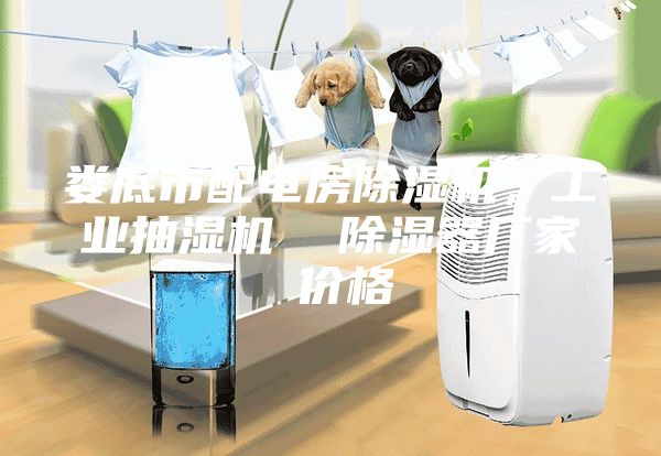 婁底市配電房除濕機，工業抽濕機  除濕器廠家 價格