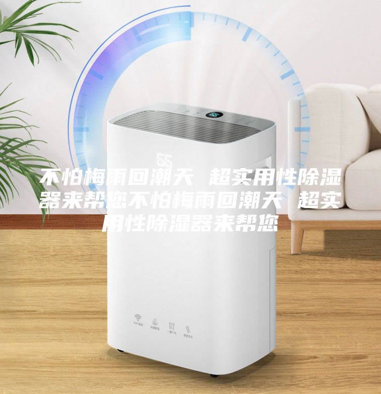 不怕梅雨回潮天 超實(shí)用性除濕器來幫您不怕梅雨回潮天 超實(shí)用性除濕器來幫您