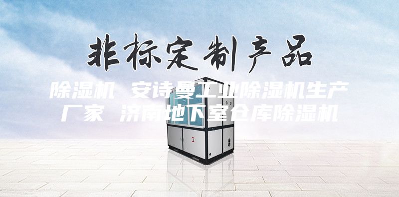 除濕機 安詩曼工業(yè)除濕機生產(chǎn)廠家 濟南地下室倉庫除濕機