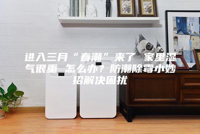 進入三月“春潮”來了 家里濕氣很重 怎么辦？防潮除霉小妙招解決困擾