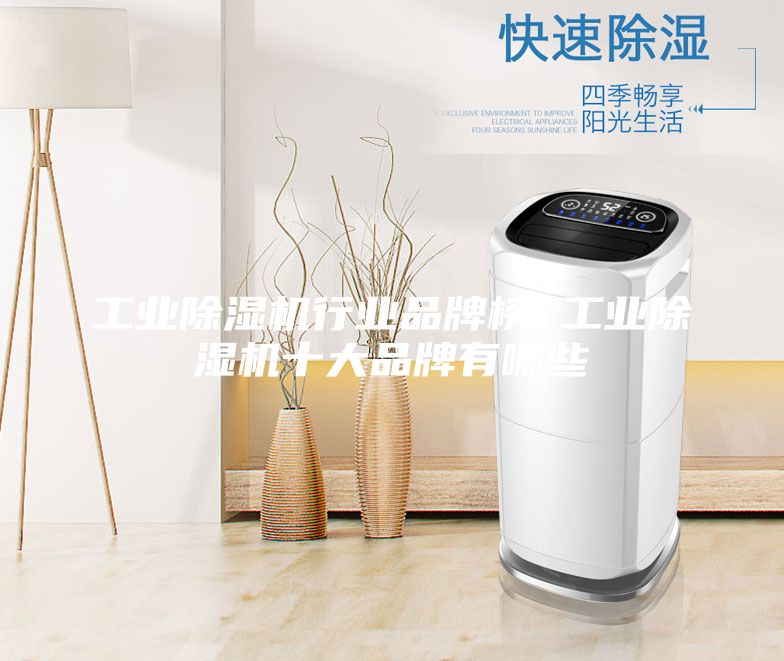 工業(yè)除濕機(jī)行業(yè)品牌榜 工業(yè)除濕機(jī)十大品牌有哪些