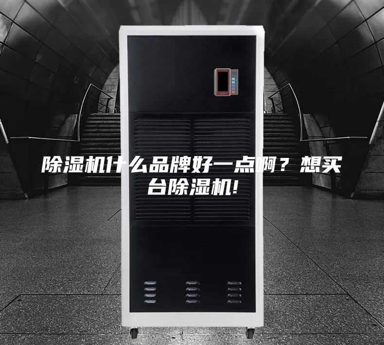 除濕機(jī)什么品牌好一點(diǎn)啊？想買臺(tái)除濕機(jī)!