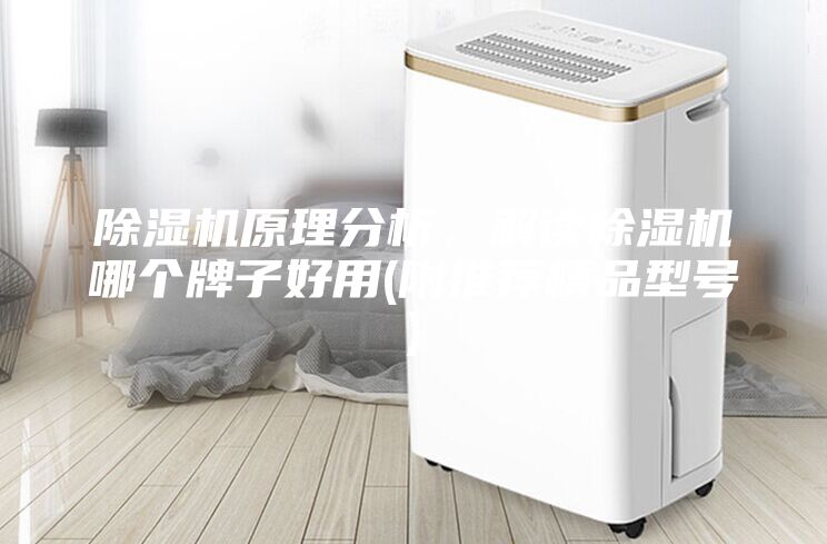 除濕機(jī)原理分析，解讀除濕機(jī)哪個(gè)牌子好用(附推薦精品型號)
