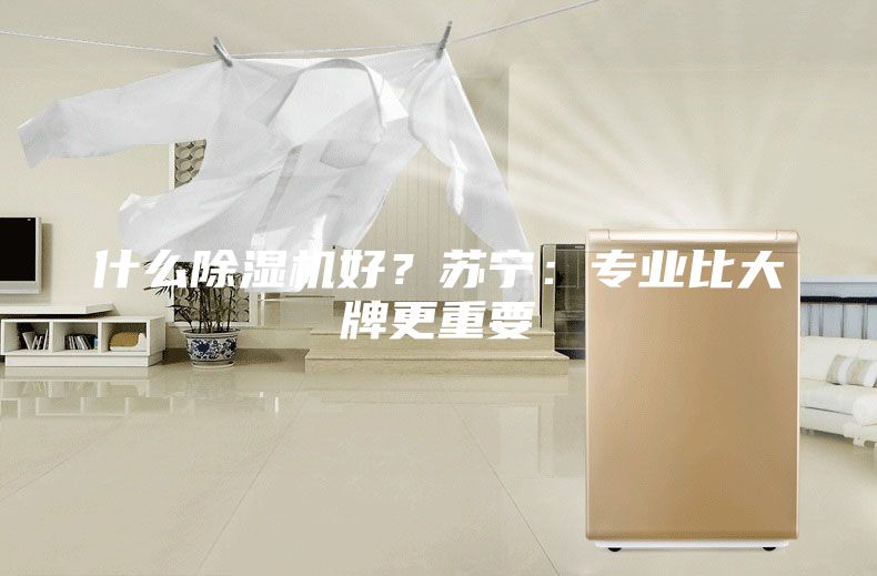 什么除濕機(jī)好？蘇寧：專(zhuān)業(yè)比大牌更重要