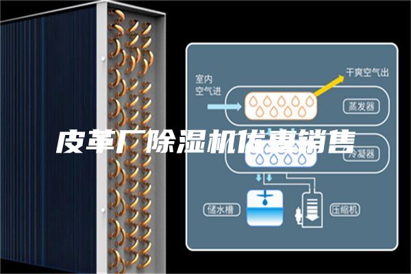 皮革廠除濕機優(yōu)惠銷售