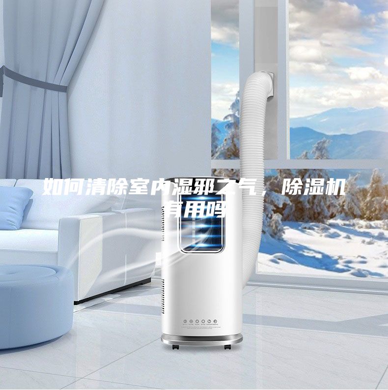 如何清除室內(nèi)濕邪之氣，除濕機(jī)有用嗎