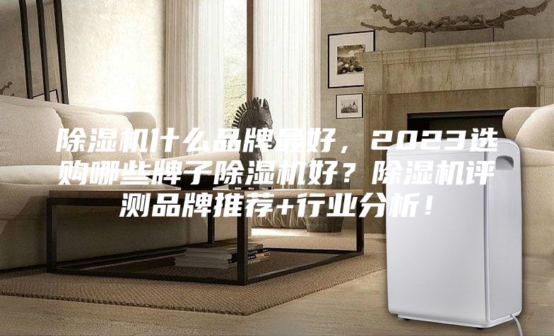 除濕機什么品牌最好，2023選購哪些牌子除濕機好？除濕機評測品牌推薦+行業(yè)分析！