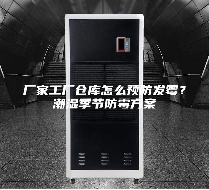 廠家工廠倉庫怎么預防發霉？潮濕季節防霉方案