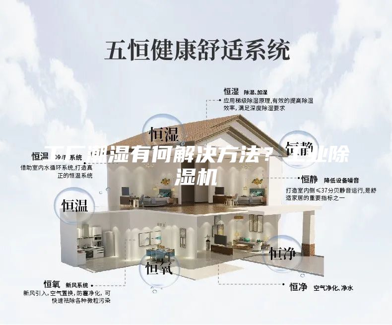 工廠潮濕有何解決方法？工業(yè)除濕機(jī)
