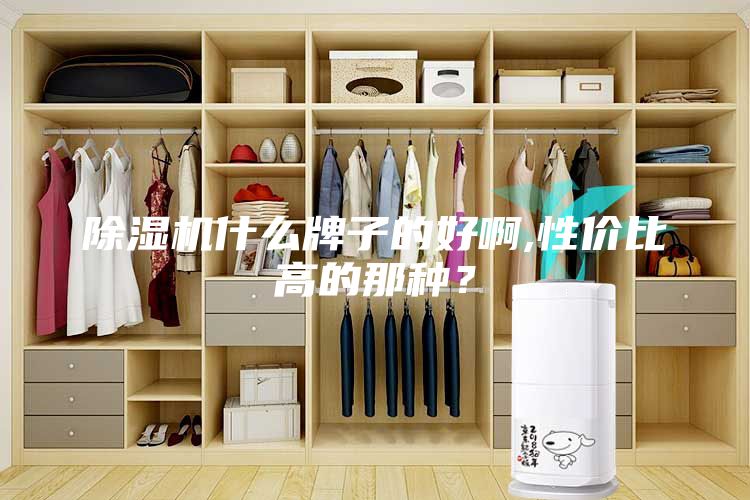 除濕機(jī)什么牌子的好啊,性價比高的那種？