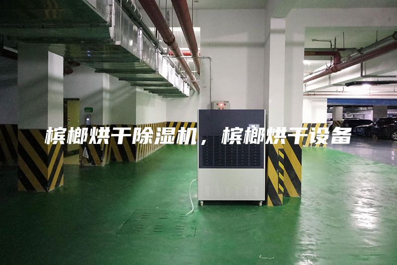 檳榔烘干除濕機(jī)，檳榔烘干設(shè)備