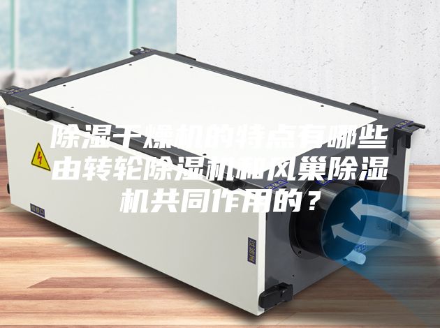 除濕干燥機(jī)的特點(diǎn)有哪些由轉(zhuǎn)輪除濕機(jī)和風(fēng)巢除濕機(jī)共同作用的？
