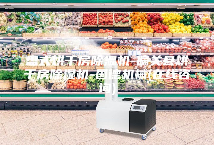 盤式烘干房除濕機(jī)-偏關(guān)縣烘干房除濕機(jī)-國(guó)德機(jī)械(在線咨詢)