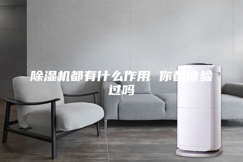 除濕機都有什么作用 你都體驗過嗎