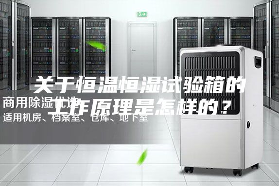 關于恒溫恒濕試驗箱的工作原理是怎樣的？